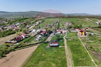 Teren  Intravilan plan in Mogosesti Iasi anunturi imobiliare Iasi