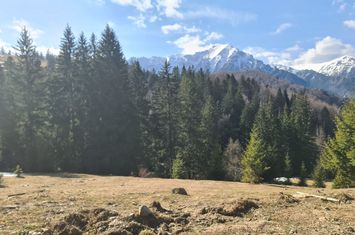 Teren de vânzare în Predeal - Zona Predeal - Râșnov anunturi imobiliare Brasov