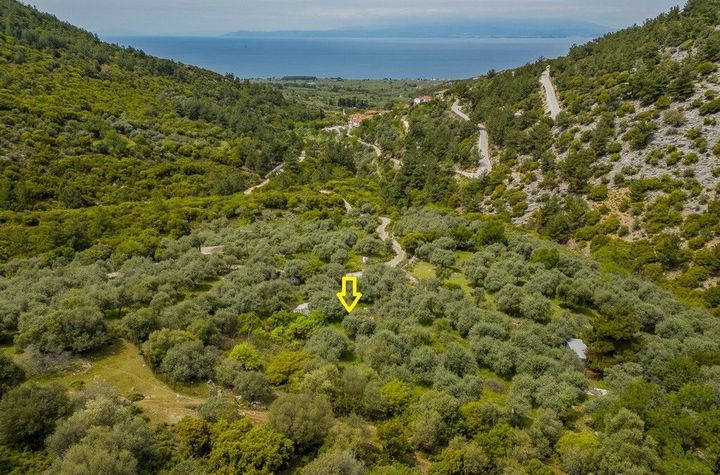 Teren 5.476,45 mp în Kallirachi, Thasos anunturi imobiliare Grecia