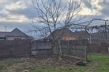 Casa cu teren 4000 mp in Bogei, Bihor anunturi imobiliare Bihor