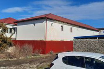 Teren Intravilan Vama Veche | 7.495 mp | Oportunitate Investiție anunturi imobiliare Constanta