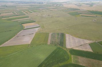 Teren arabil de 40 hectare în Zarand anunturi imobiliare Arad