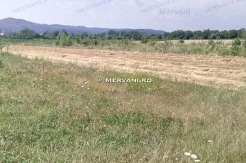 Teren de vânzare în Bănești (zona Ausburg) anunturi imobiliare Prahova
