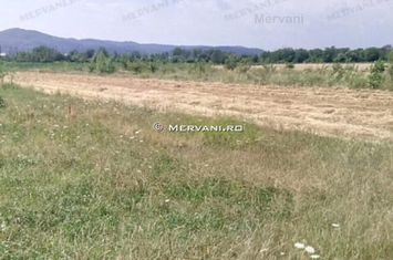 Teren Intravilan de vanzare BANESTI - Prahova anunturi imobiliare Prahova