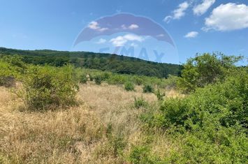 Teren Intravilan | Investitie | Baciu | Comision 0% anunturi imobiliare Cluj