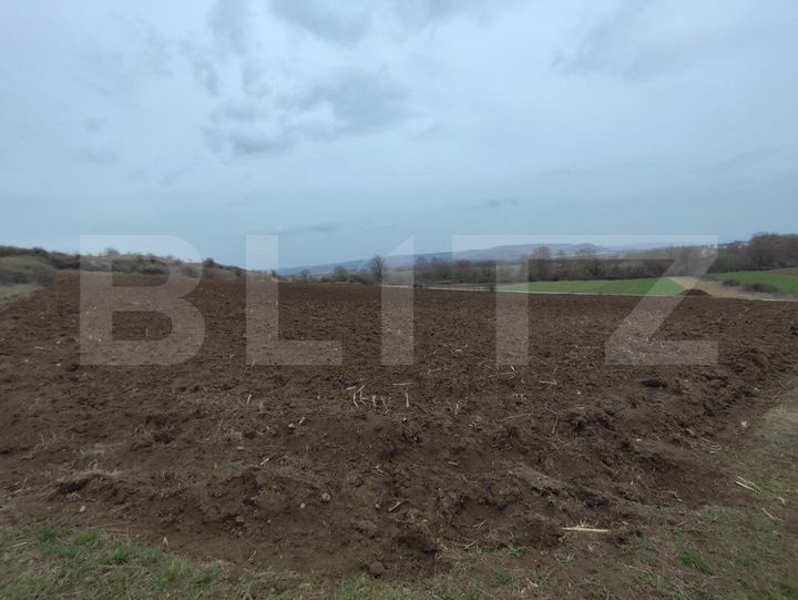 Teren de vanzare VINTU DE JOS - Alba anunturi imobiliare Alba