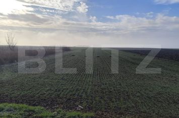 Teren de vanzare MIROSLAVA - Iasi anunturi imobiliare Iasi