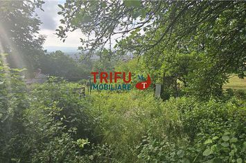 Teren Intravilan de vanzare CETATE - Alba anunturi imobiliare Alba