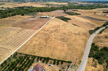 Teren construibil 6.831 mp în Kallifitos, Drama anunturi imobiliare Grecia