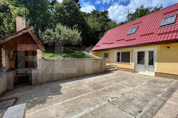 Vilă - 8 camere de vanzare CODLEA - Brasov anunturi imobiliare Brasov