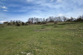 Teren de vanzare BAIA SPRIE - Maramures anunturi imobiliare Maramures