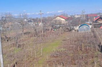 Teren de vanzare COSOVENI - Dolj anunturi imobiliare Dolj