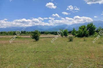 Teren Intravilan de vanzare AVRIG - Sibiu anunturi imobiliare Sibiu