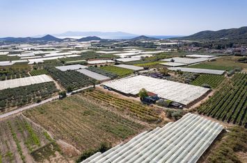 Teren 2188 mp în Elaiochori, vedere la mare anunturi imobiliare Grecia