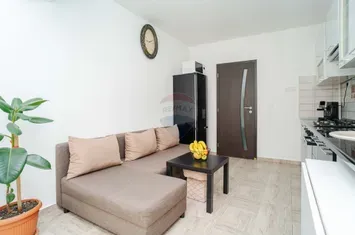 Apartament 2 Camere,  Brown Luxury anunturi imobiliare Iasi