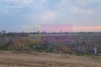 Săbăreni, teren curti-constructii 610 mp cu utilităti anunturi imobiliare Giurgiu
