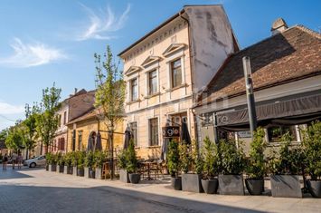 Vilă - 12 camere de vanzare CLUJ-NAPOCA - Cluj anunturi imobiliare Cluj