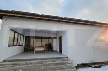 Casă - 3 camere de inchiriat ROVINE - Dolj anunturi imobiliare Dolj