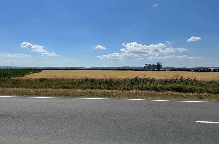 Teren de vanzare in Sacadat zona Coca Cola cu acces din DN1-Pret9 e/mp anunturi imobiliare Bihor