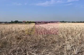 Teren Domnesti strada Ciocarliei. anunturi imobiliare Bucuresti