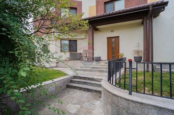 Casă / Vilă cu 10 camere de vânzare anunturi imobiliare Iasi
