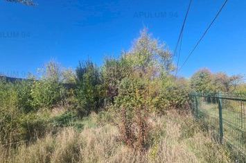 Teren de vânzare în Câmpina anunturi imobiliare Prahova