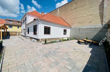 Vilă - 8 camere de vanzare CENTRAL - Sibiu anunturi imobiliare Sibiu