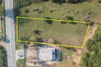 Teren 2.800 mp la 170 m de mare, Akti Neon Kerdilion anunturi imobiliare Grecia