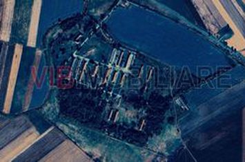 Ferma complet utilată – 30 ha teren comasat cu 11.500mp grajduri renovate Timiș – Comuna Biled anunturi imobiliare Timis