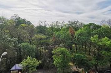 Apartament NOU cu vedere la Parcul Herastrau anunturi imobiliare Bucuresti