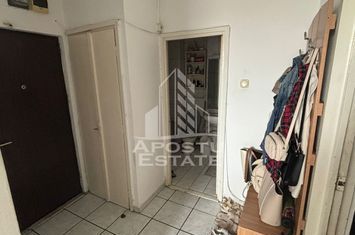 Apartament 2 camere, Spitalul Judetean anunturi imobiliare Timis