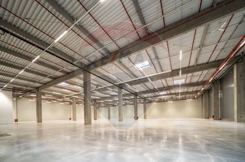 Spațiu industrial de închiriat 1.600mp - 9.000mp în Hală - Iasi (Vest) anunturi imobiliare Iasi