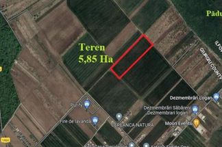 Teren Intravilan de vânzare Giurgiu - Sabareni