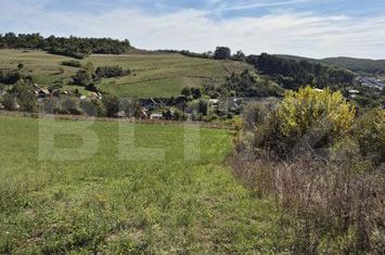 Teren de vanzare LIVEZENI - Mures anunturi imobiliare Mures