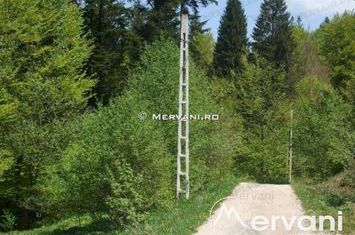 Teren Intravilan de vanzare PREDEAL - Brasov anunturi imobiliare Brasov