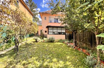 Casă - 3 camere de inchiriat SUB ARINI - Sibiu anunturi imobiliare Sibiu