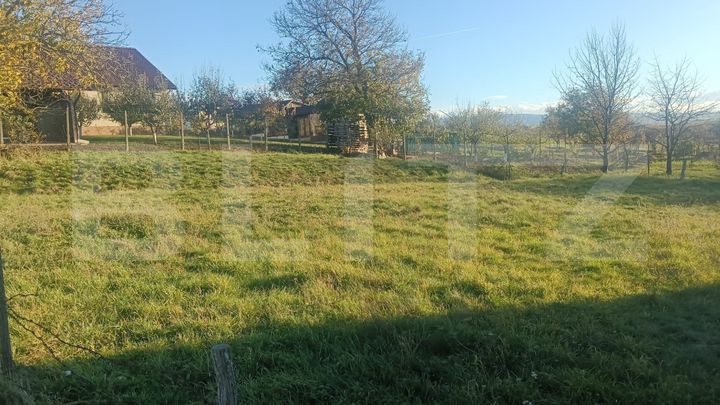 Teren de vanzare VINTU DE JOS - Alba anunturi imobiliare Alba