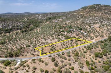 Teren 2.910 mp în Astris (Brogima), Thassos anunturi imobiliare Grecia