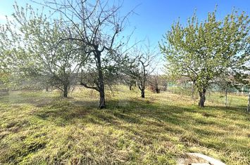 Teren de vanzare PALEU - Bihor anunturi imobiliare Bihor