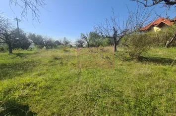 Teren de vanzare in Campina in zona retrasa anunturi imobiliare Prahova