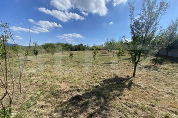 Teren de vanzare AGHIRES - Salaj anunturi imobiliare Salaj