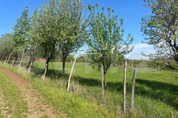 Teren de vanzare ALBA IULIA - Alba anunturi imobiliare Alba