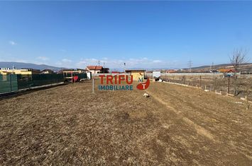Teren Intravilan de vanzare BARABANT - Alba anunturi imobiliare Alba