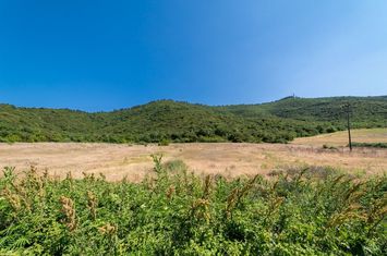 Teren construibil 18.801,47 mp în Amigdaleonas anunturi imobiliare Grecia