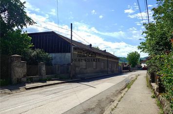Casă - 5 camere de vanzare BRAD - Hunedoara anunturi imobiliare Hunedoara