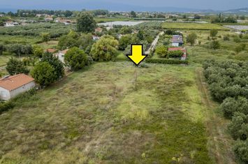 Teren 1000 mp, Paralia Orfaniou — 550 metri de mare anunturi imobiliare Grecia