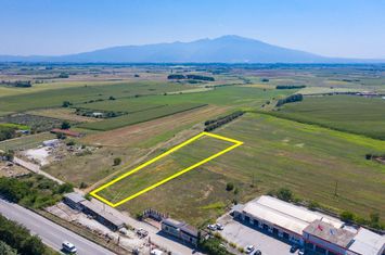 Teren construibil 5679 mp, Drama–Kavala (Choristi) anunturi imobiliare Grecia