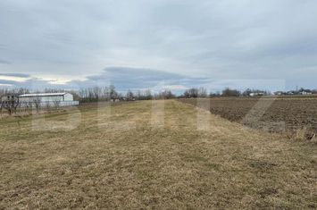 Teren de vanzare RADAUTI - Suceava anunturi imobiliare Suceava