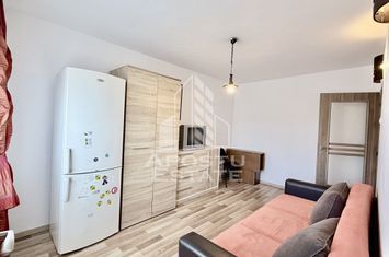 Garsoniera cu bucatarie inchisa gaz Calea Aradului anunturi imobiliare Timis