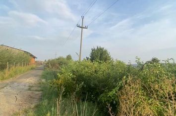 Teren Extravilan de vanzare FALTICENI - Suceava anunturi imobiliare Suceava
